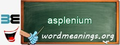 WordMeaning blackboard for asplenium